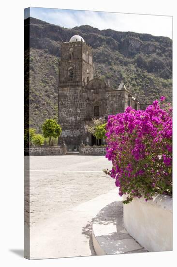 Mexico, Baja California Sur, Sea of Cortez. Mission San Francisco Javier with bougainvillea blooms-Trish Drury-Stretched Canvas