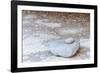 Mexico, Baja California Sur, Sierra de San Francisco. A grinding tool (matate) in Cueva Fleche.-Fredrik Norrsell-Framed Photographic Print