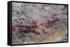 Mexico, Baja California Sur, Sierra de San Francisco. Pictographs on rock wall near Rancho Naranja.-Fredrik Norrsell-Framed Stretched Canvas