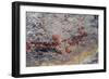 Mexico, Baja California Sur, Sierra de San Francisco. Pictographs on rock wall near Rancho Naranja.-Fredrik Norrsell-Framed Photographic Print