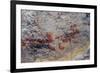 Mexico, Baja California Sur, Sierra de San Francisco. Pictographs on rock wall near Rancho Naranja.-Fredrik Norrsell-Framed Photographic Print