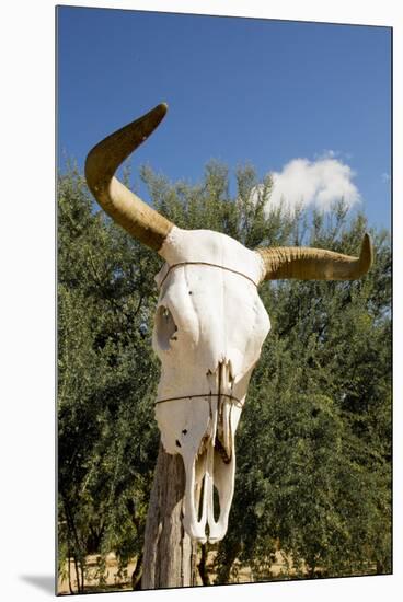 Mexico, Baja California Sur, Sierra La Laguna.-Merrill Images-Mounted Premium Photographic Print