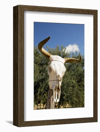 Mexico, Baja California Sur, Sierra La Laguna.-Merrill Images-Framed Photographic Print