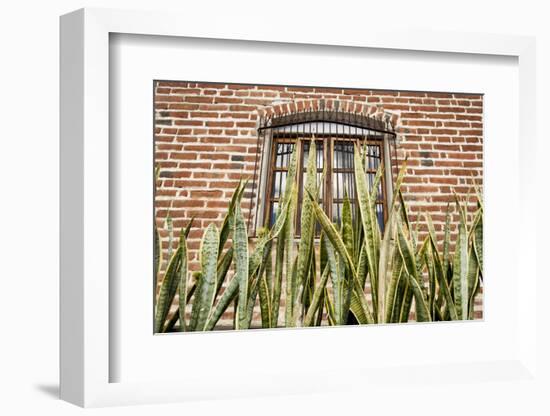 Mexico, Baja California Sur, Todos Santos.-Merrill Images-Framed Photographic Print