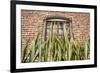 Mexico, Baja California Sur, Todos Santos.-Merrill Images-Framed Photographic Print