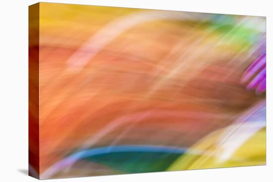 Mexico, Baja California, Tecate. Abstract Wash of Color Patterns-Don Paulson-Stretched Canvas