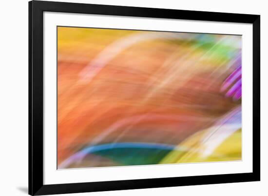 Mexico, Baja California, Tecate. Abstract Wash of Color Patterns-Don Paulson-Framed Photographic Print