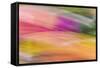 Mexico, Baja California, Tecate. Abstract Wash of Color Patterns-Don Paulson-Framed Stretched Canvas