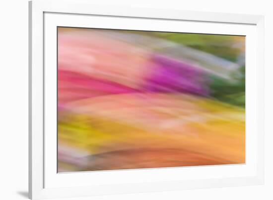 Mexico, Baja California, Tecate. Abstract Wash of Color Patterns-Don Paulson-Framed Photographic Print