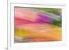 Mexico, Baja California, Tecate. Abstract Wash of Color Patterns-Don Paulson-Framed Photographic Print