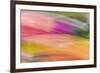 Mexico, Baja California, Tecate. Abstract Wash of Color Patterns-Don Paulson-Framed Photographic Print