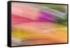 Mexico, Baja California, Tecate. Abstract Wash of Color Patterns-Don Paulson-Framed Stretched Canvas