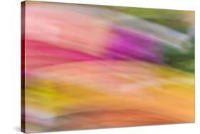 Mexico, Baja California, Tecate. Abstract Wash of Color Patterns-Don Paulson-Stretched Canvas