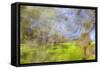 Mexico, Baja California, Tecate. Blur of Rancho La Puerta Scene-Don Paulson-Framed Stretched Canvas