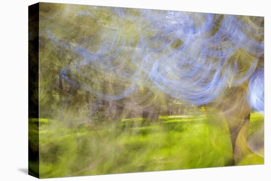 Mexico, Baja California, Tecate. Blur of Rancho La Puerta Scene-Don Paulson-Stretched Canvas