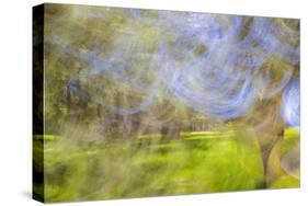 Mexico, Baja California, Tecate. Blur of Rancho La Puerta Scene-Don Paulson-Stretched Canvas