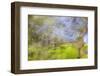 Mexico, Baja California, Tecate. Blur of Rancho La Puerta Scene-Don Paulson-Framed Photographic Print