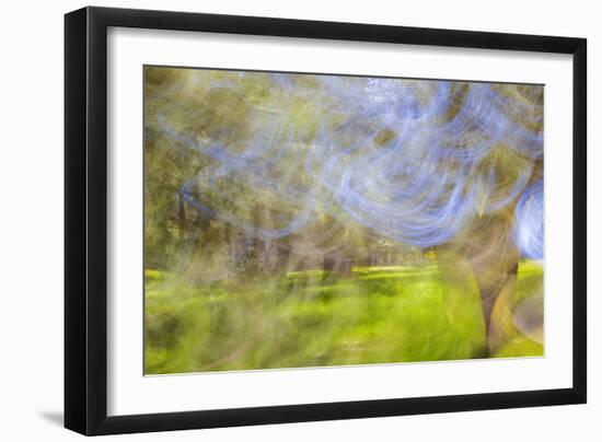 Mexico, Baja California, Tecate. Blur of Rancho La Puerta Scene-Don Paulson-Framed Photographic Print