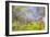 Mexico, Baja California, Tecate. Blur of Rancho La Puerta Scene-Don Paulson-Framed Photographic Print