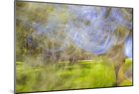 Mexico, Baja California, Tecate. Blur of Rancho La Puerta Scene-Don Paulson-Mounted Photographic Print