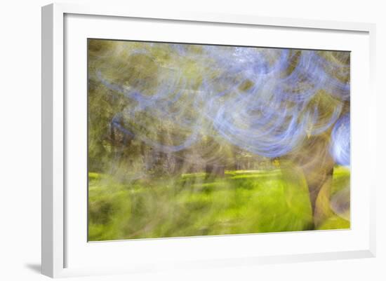 Mexico, Baja California, Tecate. Blur of Rancho La Puerta Scene-Don Paulson-Framed Photographic Print