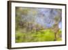 Mexico, Baja California, Tecate. Blur of Rancho La Puerta Scene-Don Paulson-Framed Photographic Print