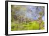 Mexico, Baja California, Tecate. Blur of Rancho La Puerta Scene-Don Paulson-Framed Photographic Print