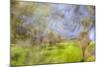 Mexico, Baja California, Tecate. Blur of Rancho La Puerta Scene-Don Paulson-Mounted Photographic Print