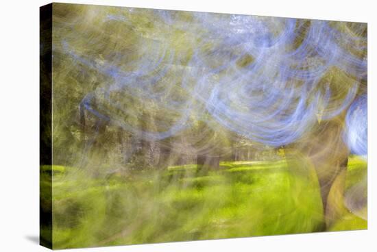 Mexico, Baja California, Tecate. Blur of Rancho La Puerta Scene-Don Paulson-Stretched Canvas