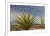 Mexico, Baja California. Yucca and Cardon Cactus with Clouds in the Desert of Baja-Judith Zimmerman-Framed Photographic Print