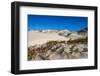 Mexico. Baja, Gulf of California, Magdalena Beach. Sand dunes.-Janet Muir-Framed Photographic Print