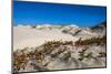 Mexico. Baja, Gulf of California, Magdalena Beach. Sand dunes.-Janet Muir-Mounted Photographic Print