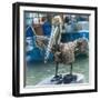 Mexico, Bay of Banderias, La Cruz de Huanacaxtle. Pelican-Emily Wilson-Framed Photographic Print