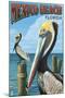 Mexico Beach, Florida - Brown Pelicans-Lantern Press-Mounted Art Print