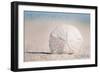 Mexico Beach, Florida - Sand Dollar and Beach-Lantern Press-Framed Art Print