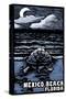 Mexico Beach, Florida - Sea Turtle on Beach - Scratchboard-Lantern Press-Stretched Canvas