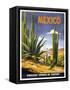 Mexico Cactus-null-Framed Stretched Canvas