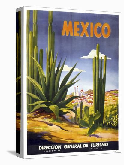 Mexico Cactus-null-Stretched Canvas