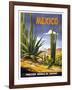 Mexico Cactus-null-Framed Giclee Print