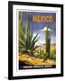 Mexico Cactus-null-Framed Giclee Print