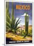 Mexico Cactus-null-Mounted Giclee Print