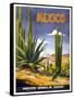 Mexico Cactus-null-Framed Stretched Canvas