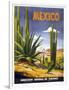 Mexico Cactus-null-Framed Giclee Print