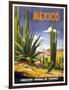 Mexico Cactus-null-Framed Giclee Print