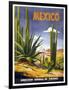 Mexico Cactus-null-Framed Giclee Print