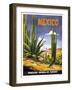 Mexico Cactus-null-Framed Premium Giclee Print