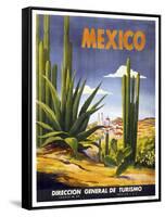 Mexico Cactus-null-Framed Stretched Canvas