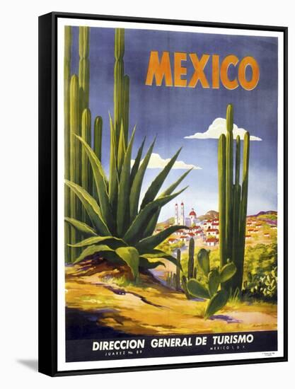 Mexico Cactus-null-Framed Stretched Canvas