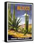 Mexico Cactus-null-Framed Stretched Canvas