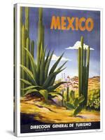 Mexico Cactus-null-Stretched Canvas